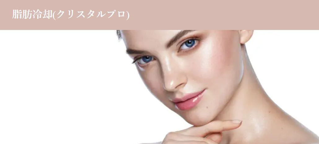 LIGHT CLINIC　脂肪冷却